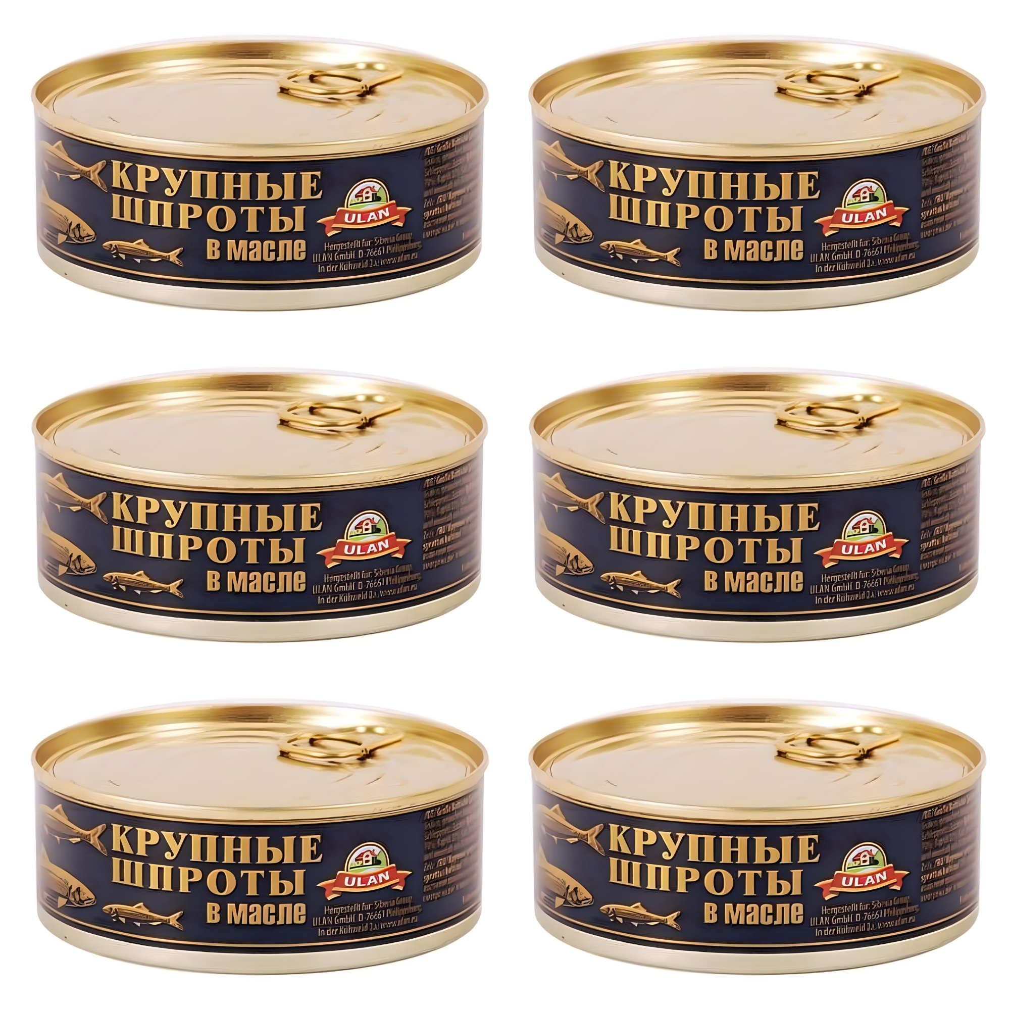 SET: 6 x Sprotten in Öl groß ULAN, 240g