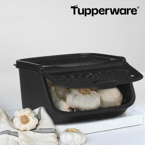 Tupperware GarlicSmart Vorratsbehälter für Knoblauch