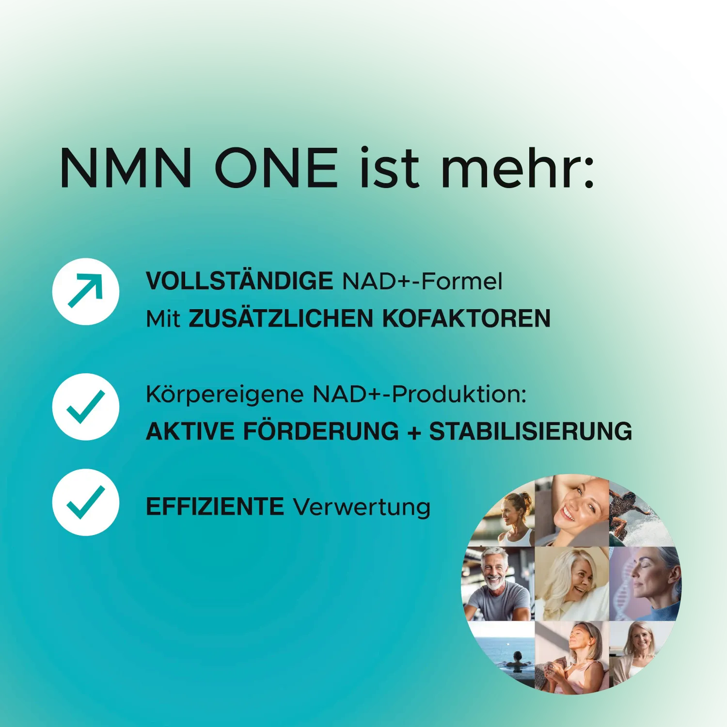NMN ONE